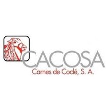 Imagen13